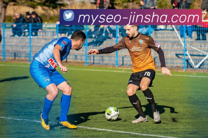 金沙国际APP 封面图